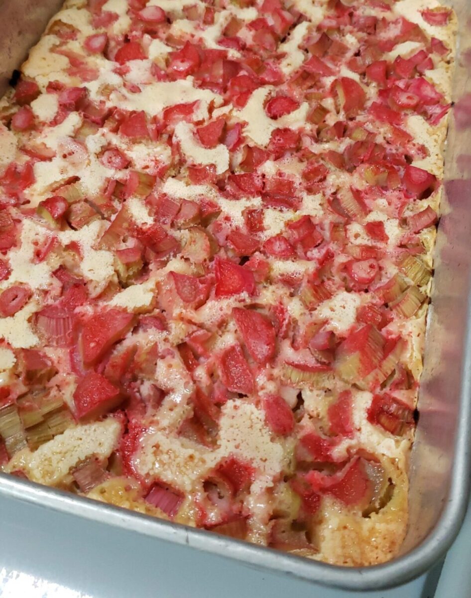 Pan of rhubarb custard dessert